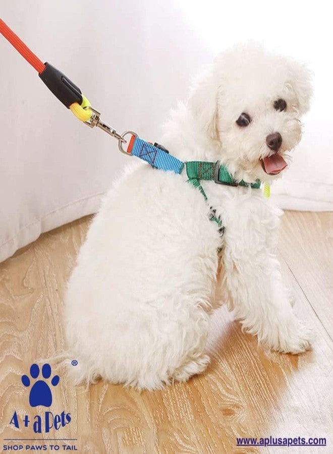 A+a Pets' Harness and Leash Set, Colourful Combo in Rainbow for Cats and Dogs (L/XL Rainbow) - Image 2